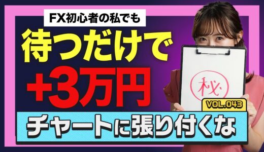 【動画解説付き！】初心者が自力で＋3万6,000円！プロが大絶賛した環境認識と出口戦略の全手順